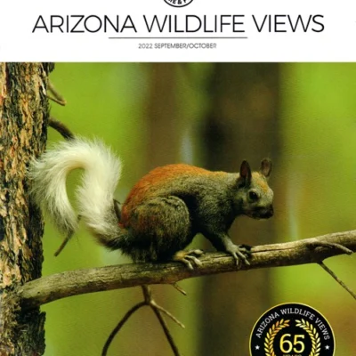 Arizona Wildlife Views Magazine