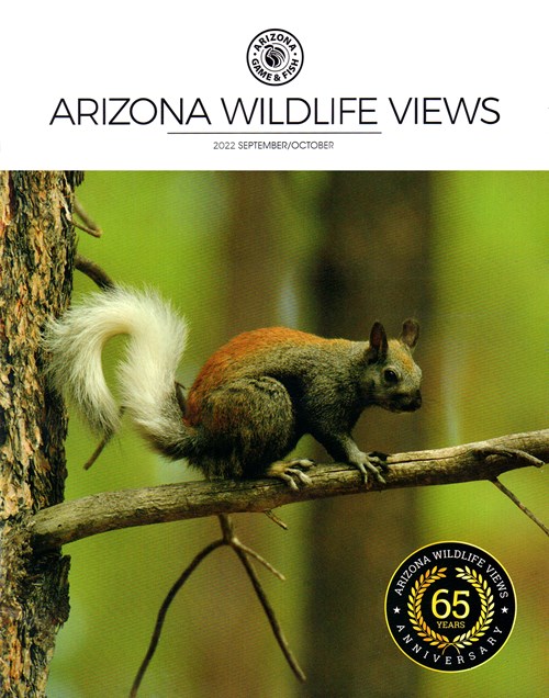 Arizona Wildlife Views Magazine