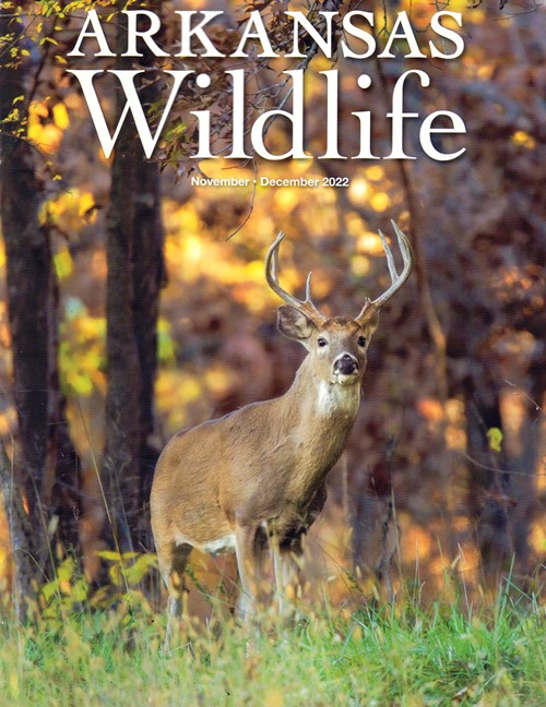Arkansas Wildlife Magazine