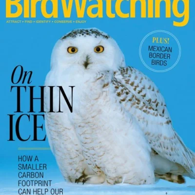 Bird Watching Magazine