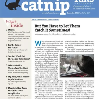 Catnip Magazine