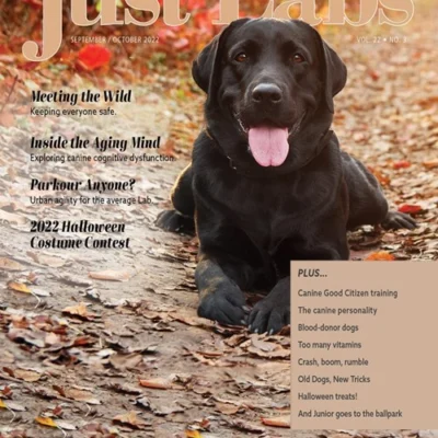 Just Labs Magazine