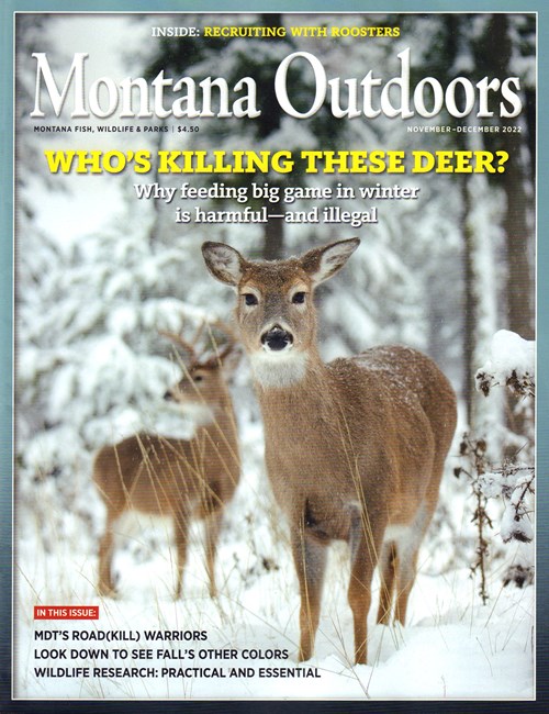 Montana Outdoors Magazine