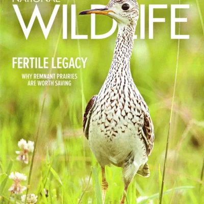 National Wildlife Magazine