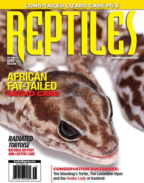 Reptiles Magazine