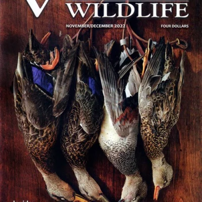 Virginia Wildlife Magazine