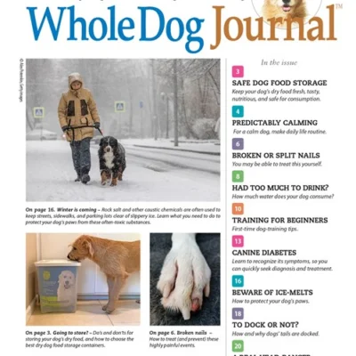 Whole Dog Journal Magazine